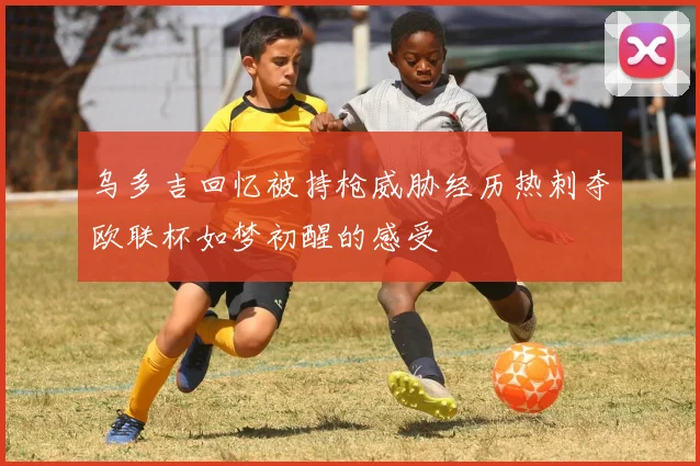 乌多吉回忆被持枪威胁经历热刺夺欧联杯如梦初醒的感受