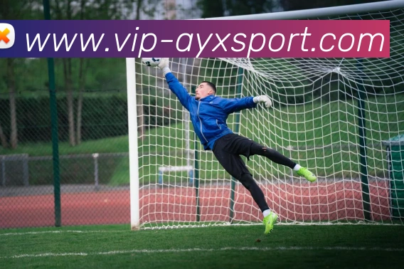 爱游戏体育品牌故事