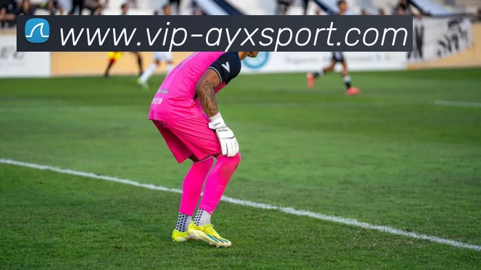 爱游戏体育服务体系