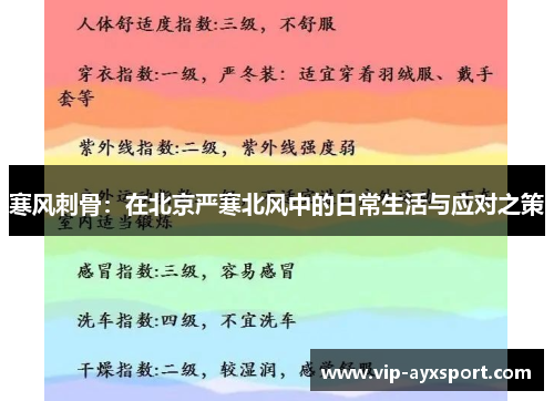 寒风刺骨：在北京严寒北风中的日常生活与应对之策